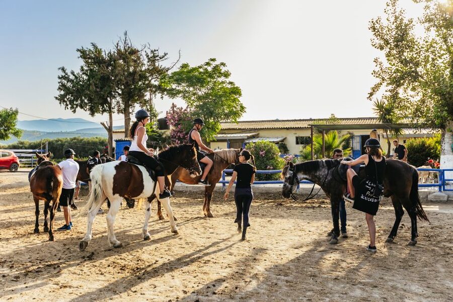 Heraklion: Finikia Horse Riding Tour with Lunch or Dinner - Who will enjoy this most