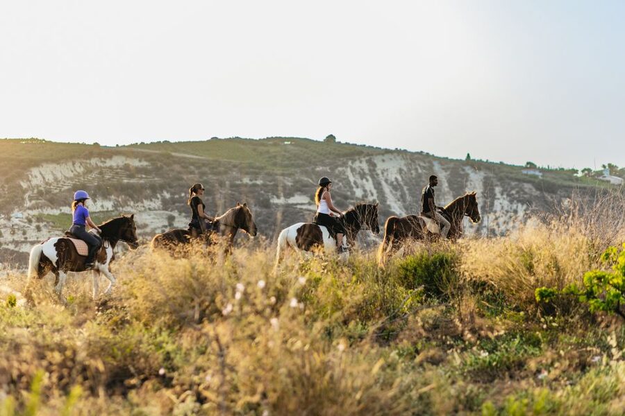 Heraklion: Horse Ride in the Cretan Mountains - A calm walk for beginners, with a faster option for confident riders