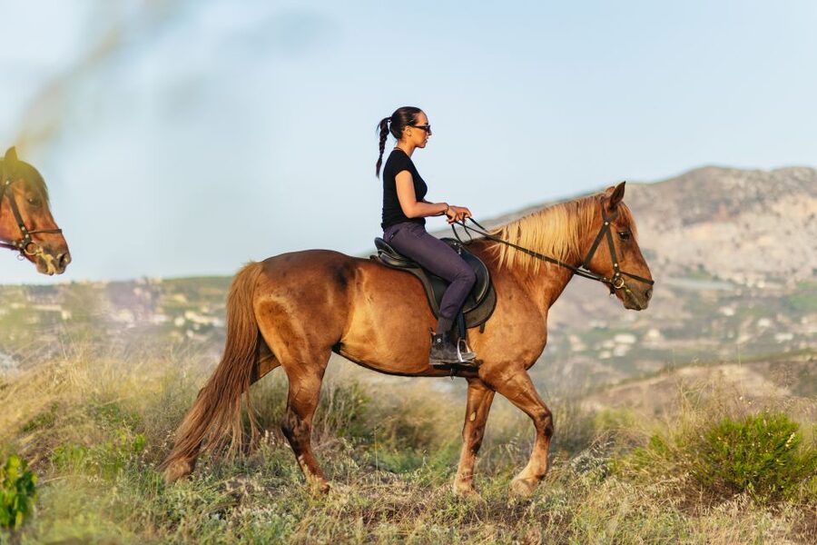 Heraklion: Horse Ride in the Cretan Mountains - Is $68 a fair price?