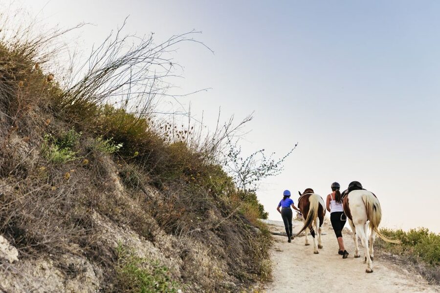 Heraklion: Horse Ride in the Cretan Mountains - Who will enjoy this Finikia horse ride?