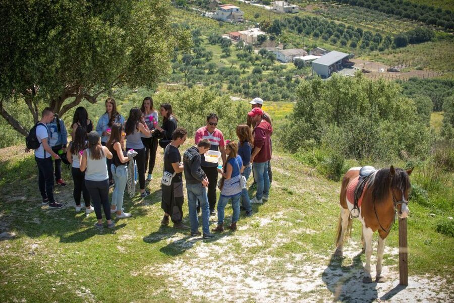 Heraklion: Horseriding Day Tour with Lunch and Transfer - A mountain morning with a meal at its heart