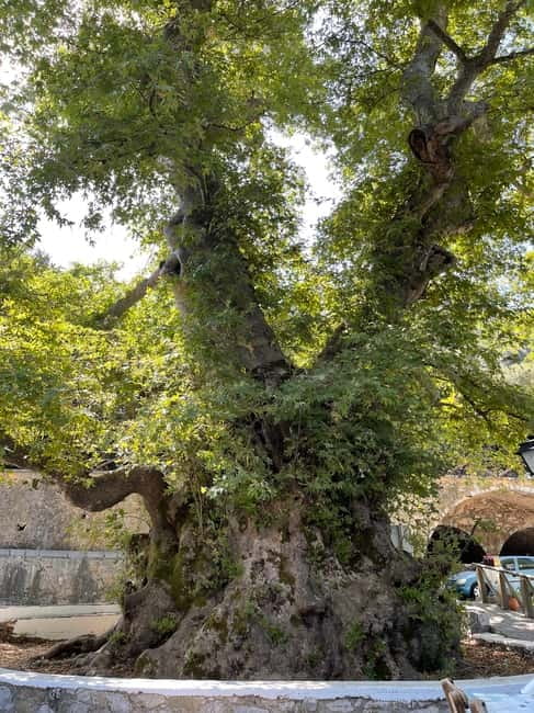 Heraklion: Knossos, Zeus, Villages & Olive Oil Factory Tour - Transport, pace, and practical comfort