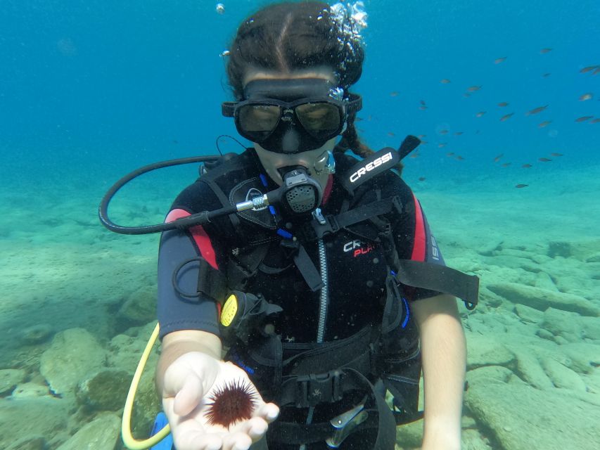Heraklion: Scuba Diving Experience for Beginners _Beach - Who should book this experience?
