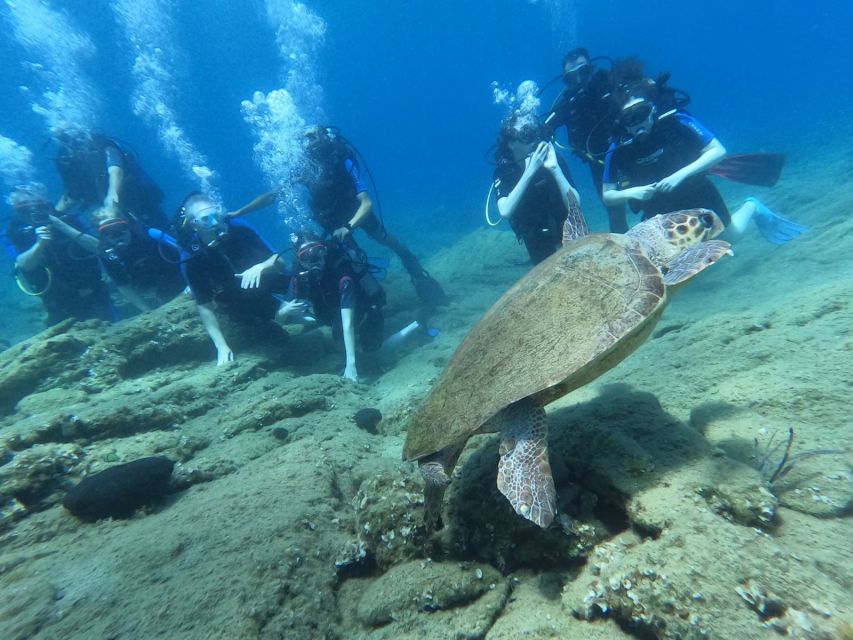 Heraklion: Scuba Diving Experience for Beginners _Beach - How long the whole outing really takes