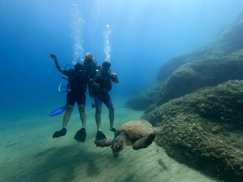Heraklion: Scuba Diving Experience for First-Timers - Getting to Ligaria and deciding on the transfer