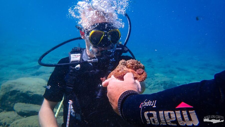 Heraklion: Scuba Diving Experience for First-Timers - Is $82 a fair price?