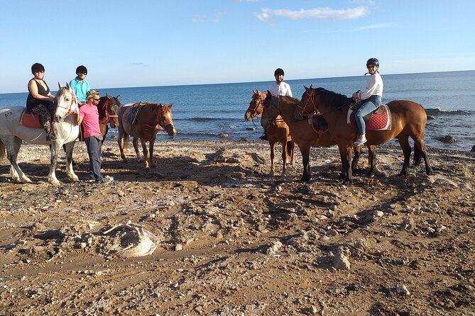 Horse Riding: Explore Secret Thera - Who will enjoy this most