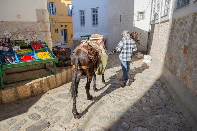 Hydra, Poros and Egina Day Cruise from Athens with Optional VIP Upgrade - Hydra: The Best Stop for Wandering