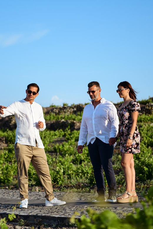 Imerovigli: Premium Wine Tasting with Caldera and Sea Views - Who should book this experience?