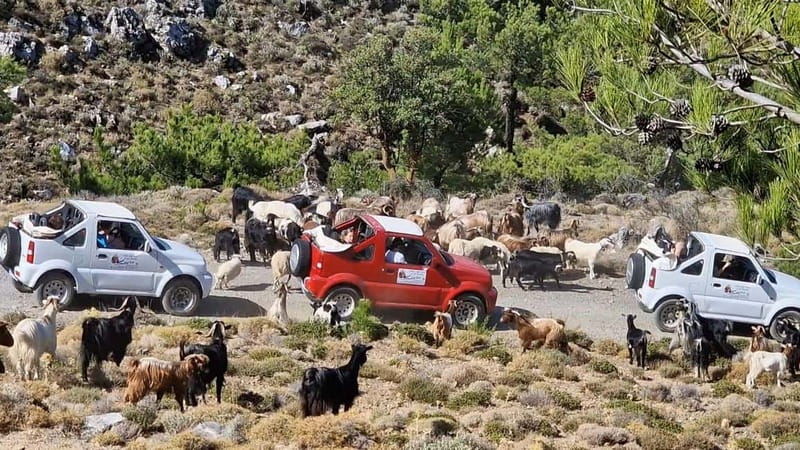 Jeep Driving Tour to Thripti Mountains and typical villages - Climbing the Thrypti Mountains to Afentis
