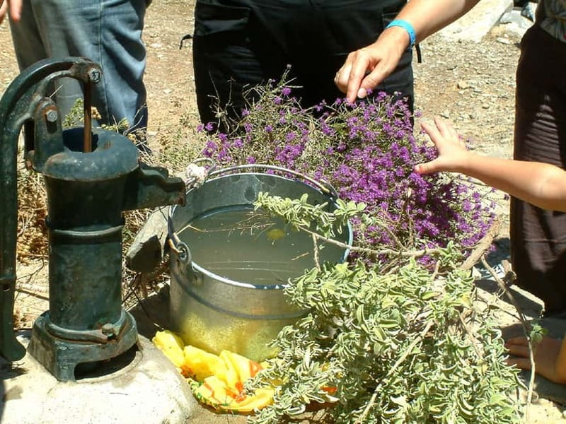 Jeep Driving Tour to Thripti Mountains and typical villages - Mochlos, Greek food, and time by the water