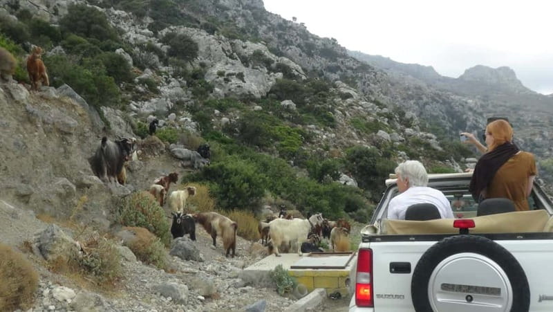 Jeep Driving Tour to Thripti Mountains and typical villages - Starting in Ierapetra with a shared open-top Jeep