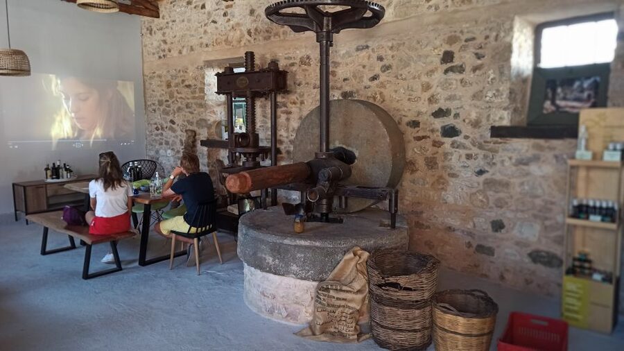 Kalamata: The Olive Oil Routes Tour - Inside Androusa’s 120-year-old olive mill