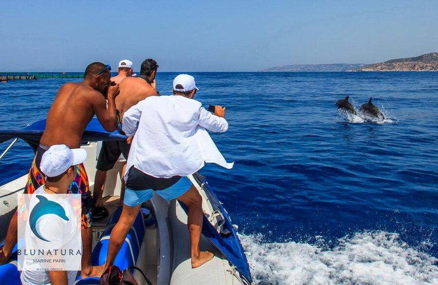 Kamiros Skala : Marine Life Experience & Alimia Island - A local fish BBQ by the water