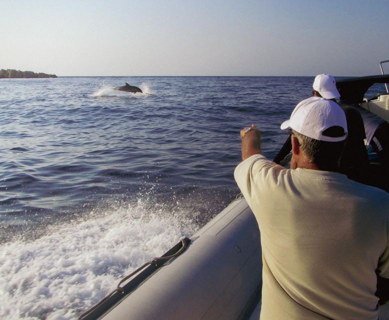 Kamiros Skala : Marine Life Experience & Alimia Island - Who will enjoy this most