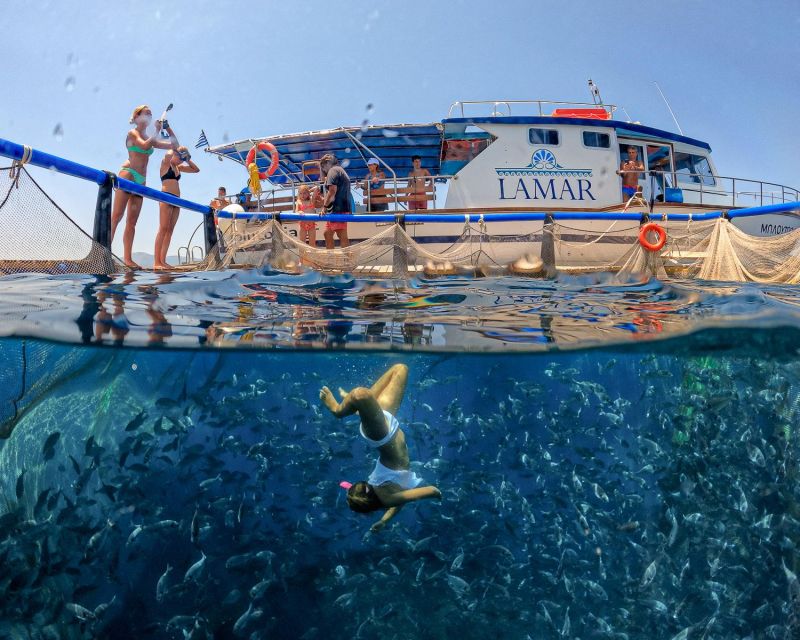 Kamiros Skala: Marine Life Experience by Boat - Practical details that can save you trouble