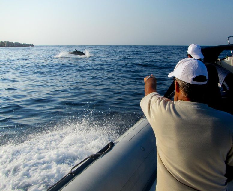 Kamiros Skala: Marine Life Experience by Boat - A marine biologist, not just a boat captain