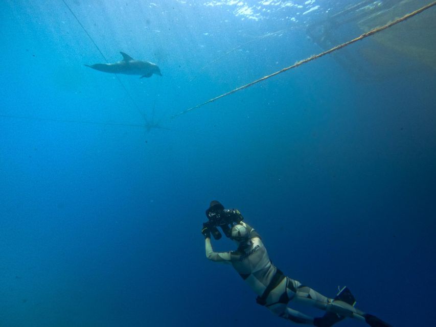 Kamiros Skala: Marine Life Experience by Boat - The wild tuna encounter