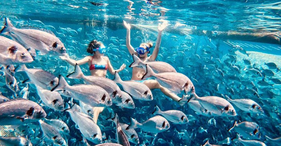 Kamiros Skala: Marine Life Experience by Boat - The return route adds another 20-minute look