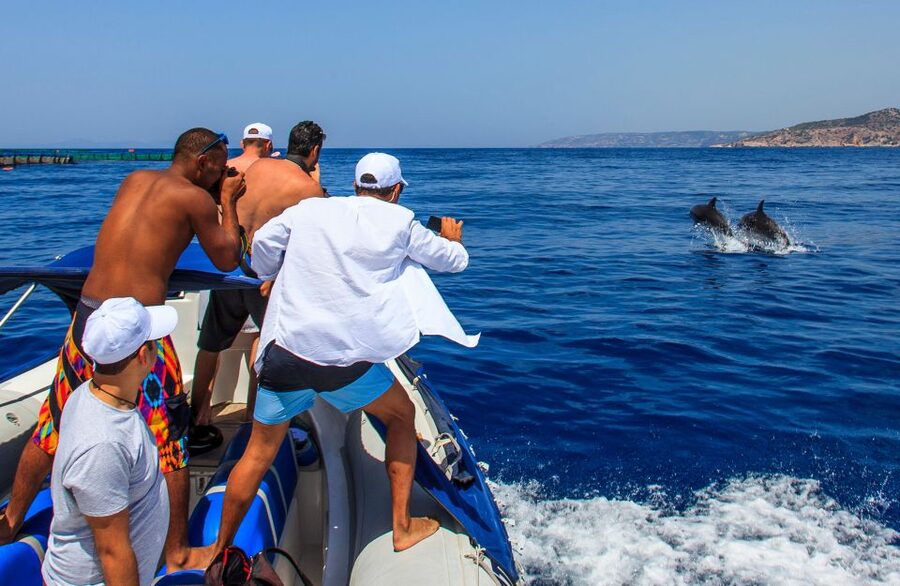 Kamiros Skala: Marine Life Experience by Boat - How much value do you get for $106?