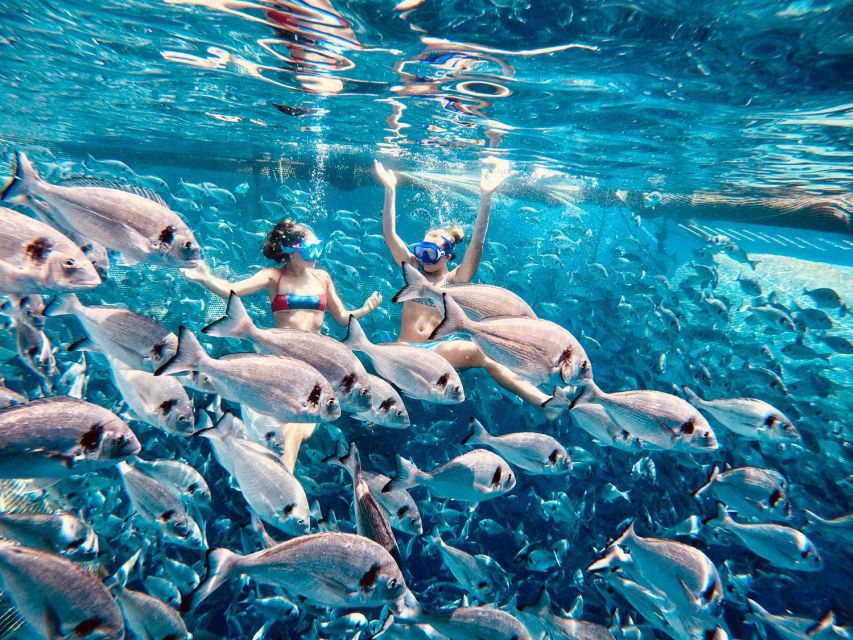 Kamiros Skala: Marine Life Experience by Boat - Leaving Kamiros Skala for Makri Islet