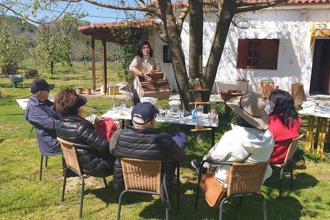 Katakolon Small Group Tour: Olympic site, Honey/Olive Oil Tasting - Should you book the Olympic site and tasting tour?