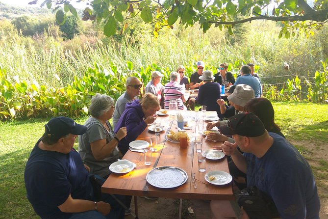 Katakolon Small Group Tour: Olympic site, Honey/Olive Oil Tasting - Ancient Olympia: 90 minutes among the ruins