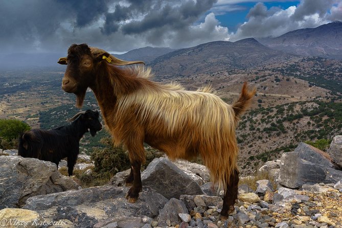 Katharo Route Tour from Agios Nikolaos - Zeus’s Cave and the Greek mythology park
