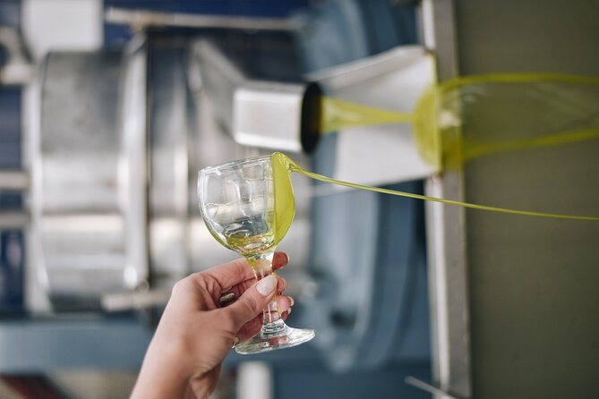 Kleanthi Olive Farm: Guided Tour with Local Delicacies Tasting - Buying Olive Oil Without the Hard Sell