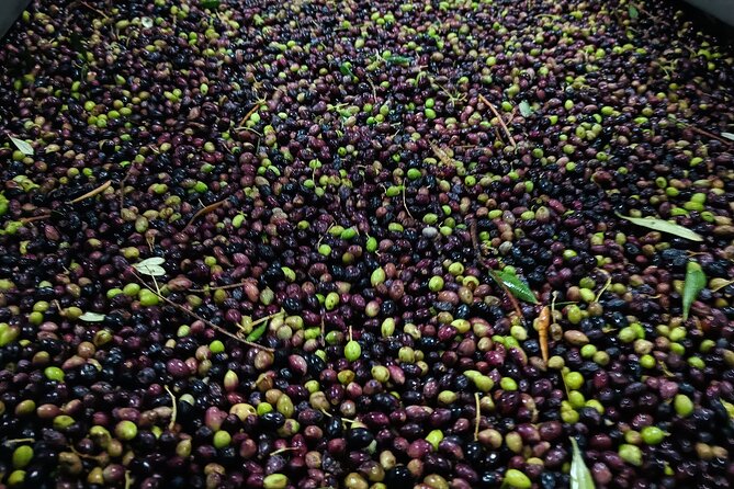 Kleanthi Olive Farm: Guided Tour with Local Delicacies Tasting - Timing, Group Size, and Getting There