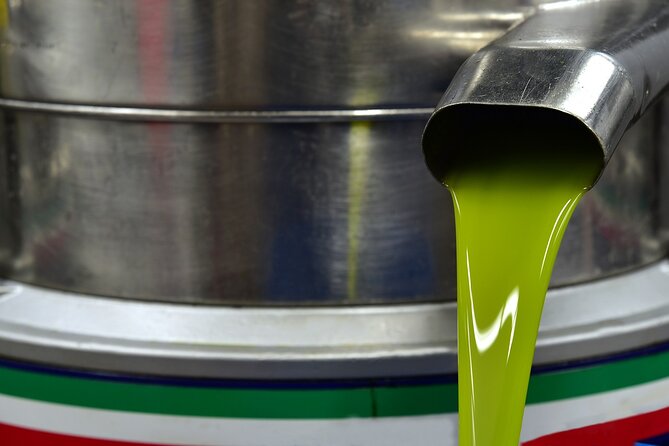 Kleanthi Olive Farm: Guided Tour with Local Delicacies Tasting - Who Will Enjoy This Farm Visit Most?