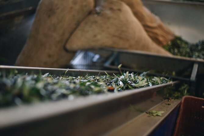 Kleanthi Olive Farm: Guided Tour with Local Delicacies Tasting - Should You Book Kleanthi Olive Farm?