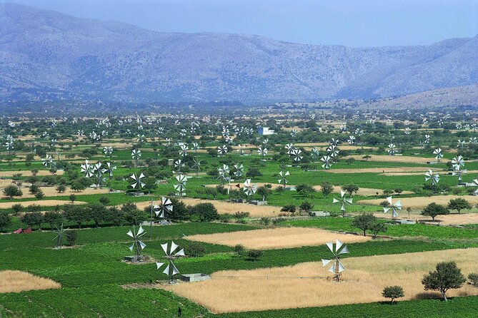 Knossos & lasithi plateau villages,Zeus's cave,&olive oil Mill - Lasithi Plateau and its windmills