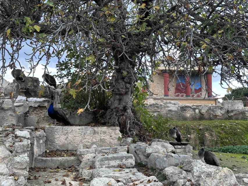 Knossos Palace Skip-the-Line Ticket & Private Guided Tour - Courtyards, stairs, and the palace’s great scale