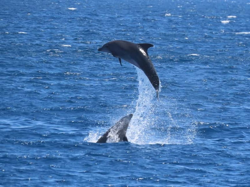 Kos: 3-Island Cruise with Lunch and Hotel Transfer - Kalymnos and the village of Vathy