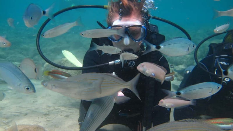 Kos: Beginner Scuba Diving at Pserimos Island - Should you book it?