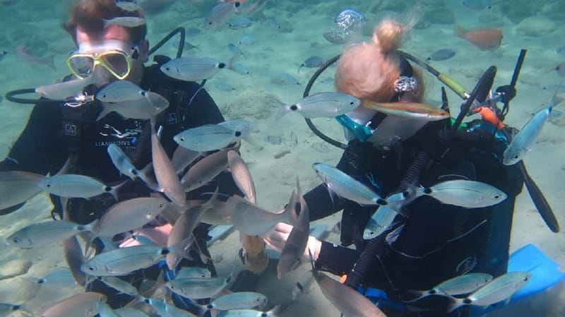 Kos: Beginner Scuba Diving at Pserimos Island - Leaving Kos Harbour at 8:30