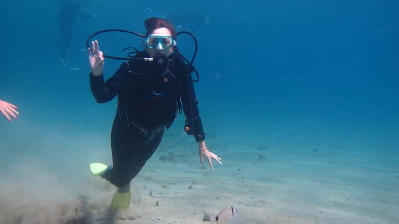 Kos: Beginner Scuba Diving at Pserimos Island - What happens after the first session