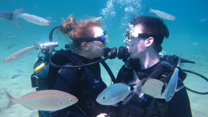 Kos: Beginner Scuba Diving at Pserimos Island - How much value do you get for $97?
