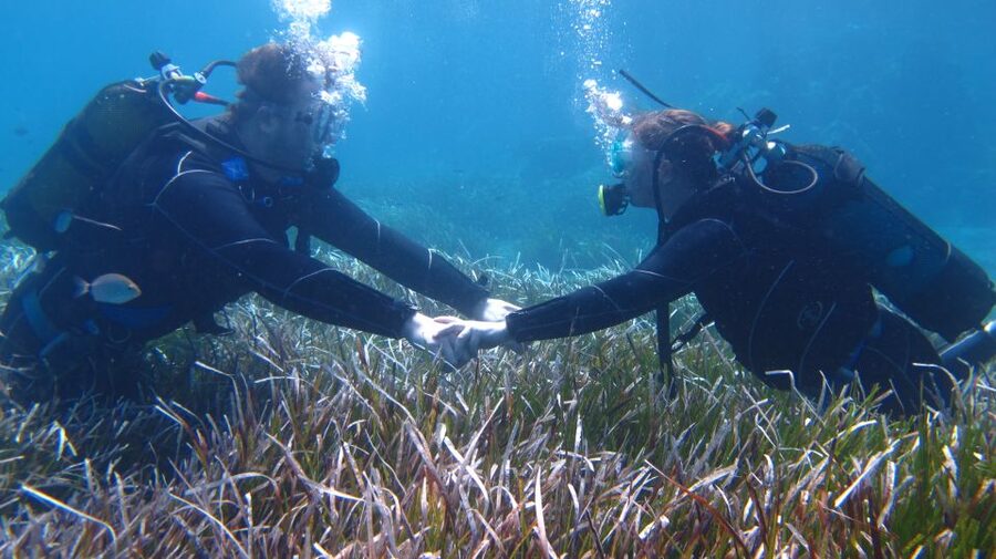Kos: Beginner Scuba Diving at Pserimos Island - What the 4.7 rating tells you