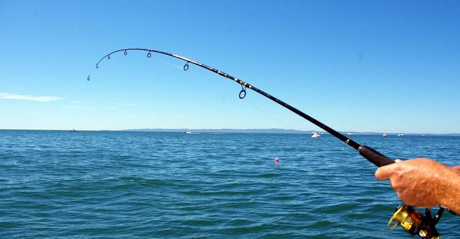 Kos: Fishing Trip Experience with a Greek Fisherman's Family - Key points at a glance
