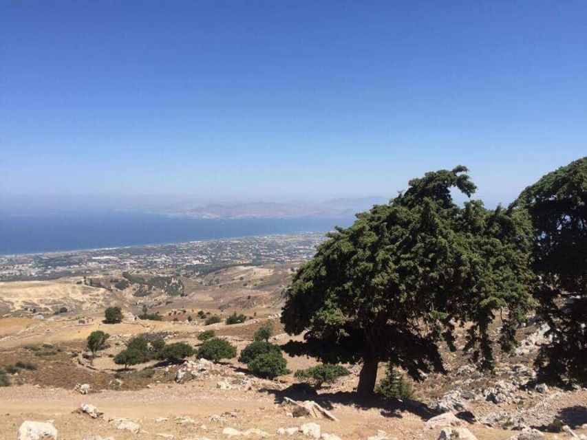 Kos: Full-Day Jeep Safari with Lunch - Turtle Lake and a quieter side of Kos