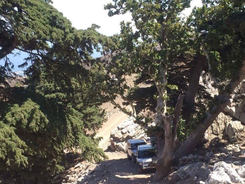 Kos: Full-Day Jeep Safari with Lunch - Lunch in Zia with moussaka and wide views