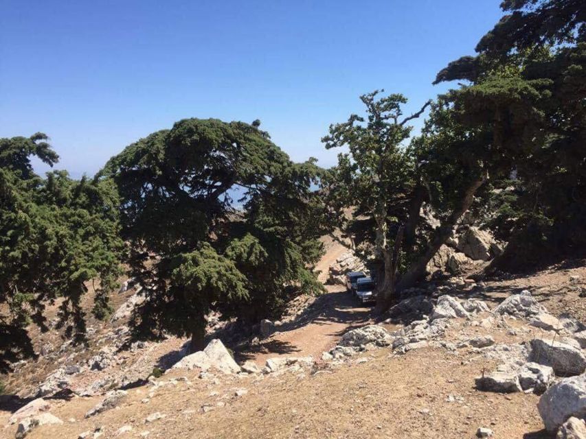 Kos: Full-Day Jeep Safari with Lunch - Mount Dikaios and the first big island views