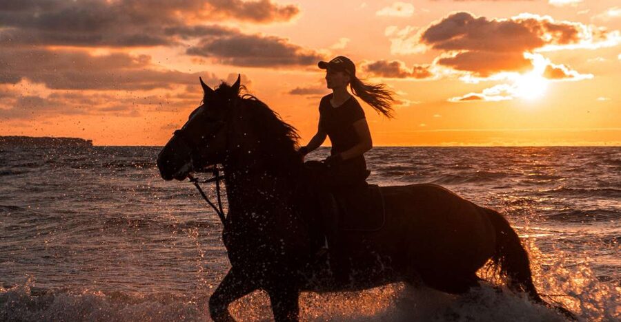 Kos: Horse Riding Experience on the Beach with Instructor - Key points to know before you book