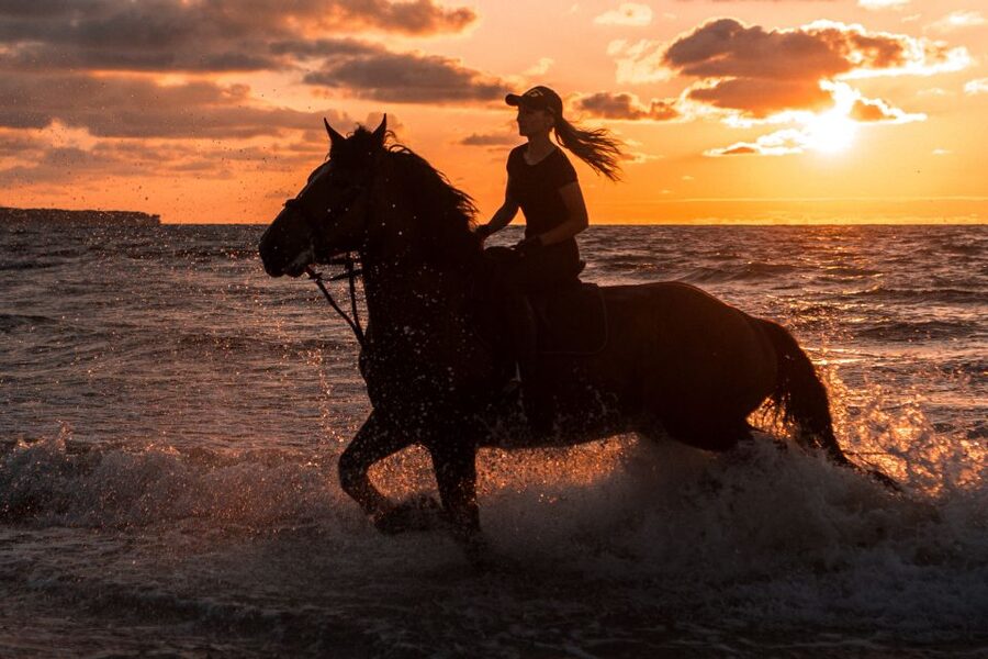 Kos: Horse Riding Experience on the Beach with Instructor - Riding beside the salt lake near Tigaki