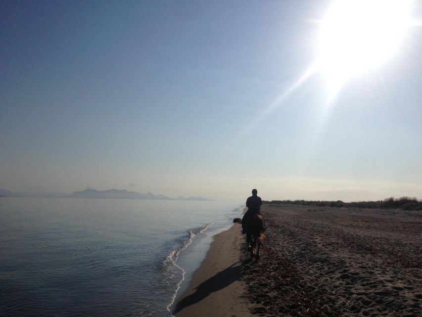 Kos: Horse Riding Experience on the Beach with Instructor - Pickup from Kos, Tigaki, Kardamena, and Mastichari