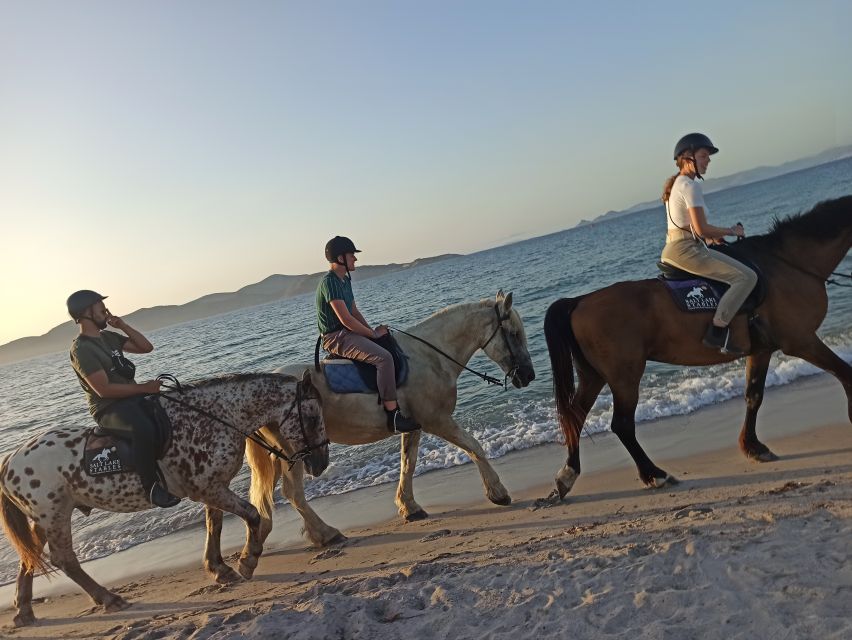 Kos: Horse Riding Experience on the Beach with Instructor - Sunset rides, timing, and seasonal expectations