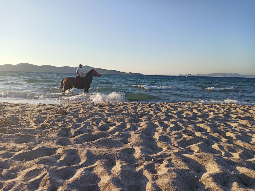 Kos: Horse Riding Experience on the Beach with Instructor - Who will enjoy this Kos horse ride most?