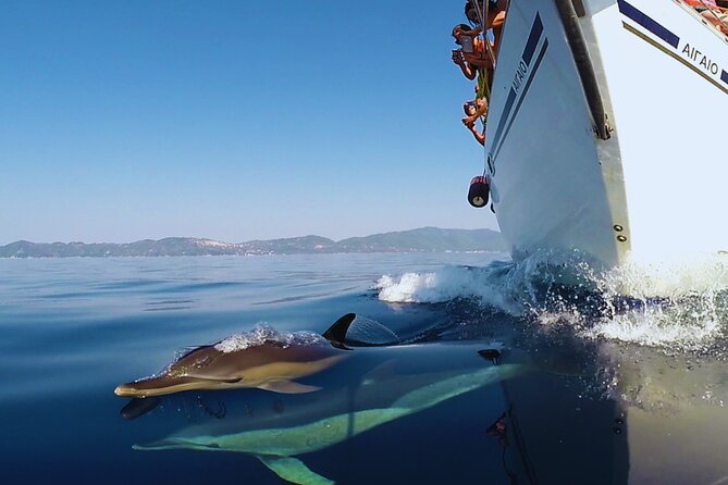 Kos: Small Group Full-Day Sailing with Meal, Drinks, & Swim - Lunch on the boat, with no beach restaurant required